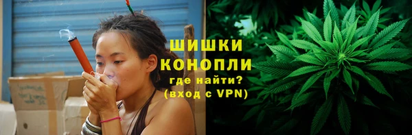стаф Каменск-Шахтинский