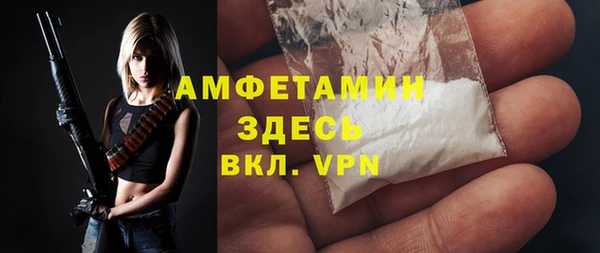 стаф Каменск-Шахтинский