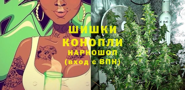 стаф Каменск-Шахтинский