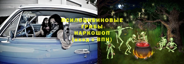стаф Каменск-Шахтинский