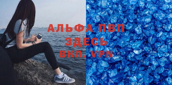 стаф Каменск-Шахтинский