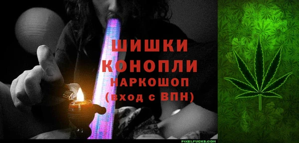 стаф Каменск-Шахтинский